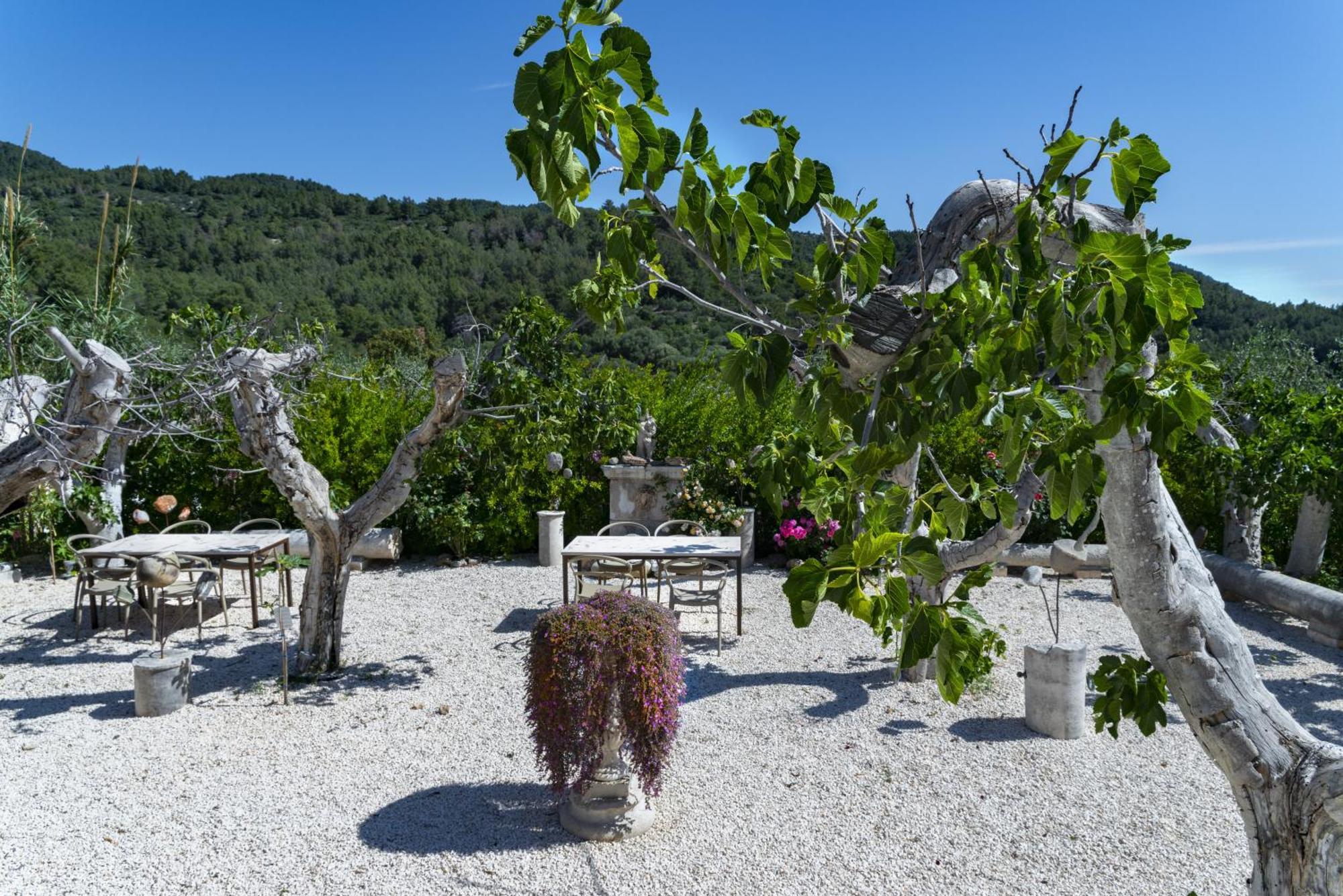 מאטינאטה Hmo Glamping & Suites In Vignanotica מראה חיצוני תמונה